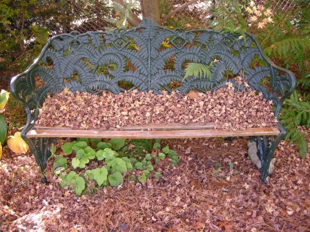fern bench at Carolyn's Shade Gardens