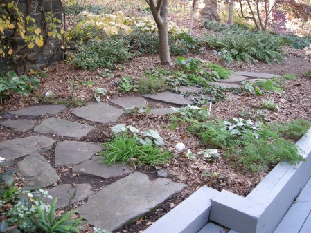 patio bed at Carolyn's Shade Gardens
