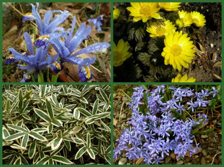 March color at Chanticleer