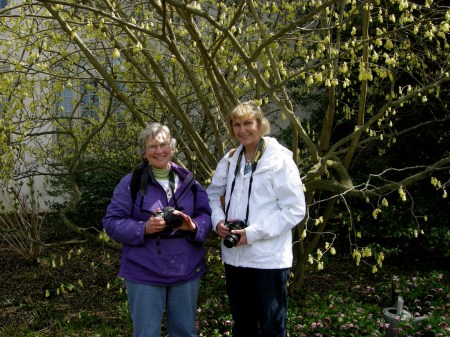 Jean and Jan under Corylopsis Chanticleer