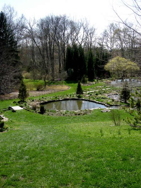 Pond Garden Chanticleer