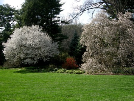View from Chanticleer House to Minders Woods