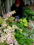 Michael at Carolyn’s Shade&nbsp;Gardens