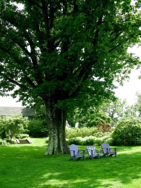 Chanticleer, near Tennis Court Garden