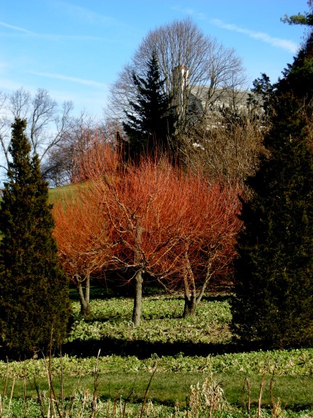 The Serpentine Garden Chanticleer