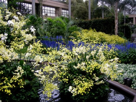 Longwood East conservatory