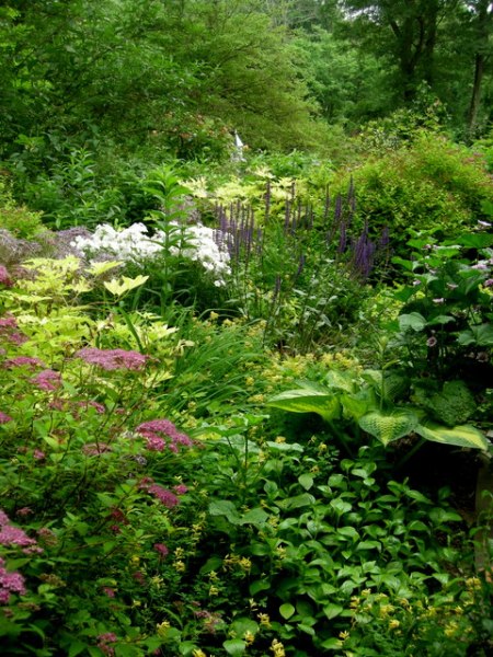 view from the front door