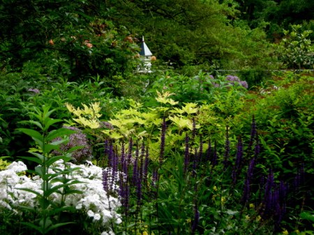 view from the front door