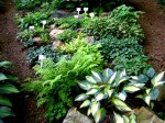 miniature hosta rock&nbsp;garden