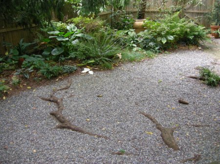 David Culp's Garden Fall 2013-002