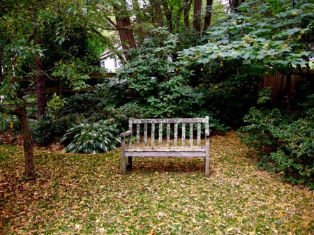 David Culp's Garden Fall 2013-006