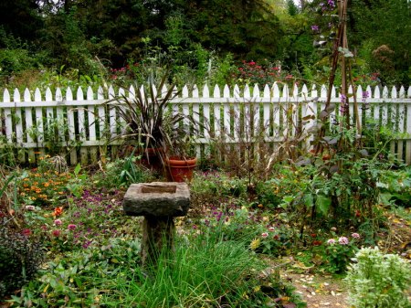 David Culp's Garden Fall 2013-011