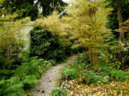 David Culp's Garden Fall 2013-015