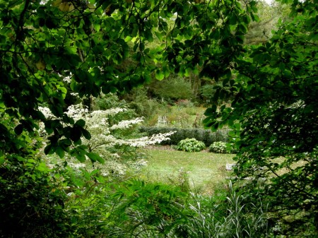 David Culp's Garden Fall 2013-017