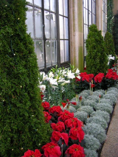 Longwood Xmas 2013 12-19-2013 11-47-08 AM