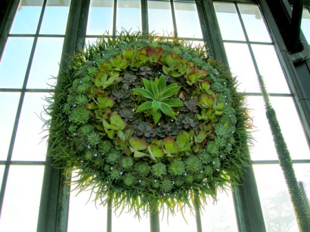 Longwood Xmas 2013 12-19-2013 12-41-31 PM