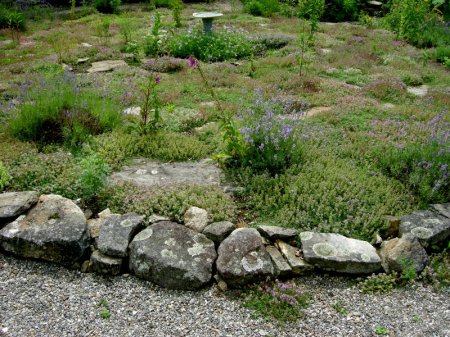 Camden Garden tour Avena 7-17-2014 11-22-49 AM