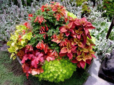 Camden Garden Tour Messler 7-17-2014 1-59-20 PM