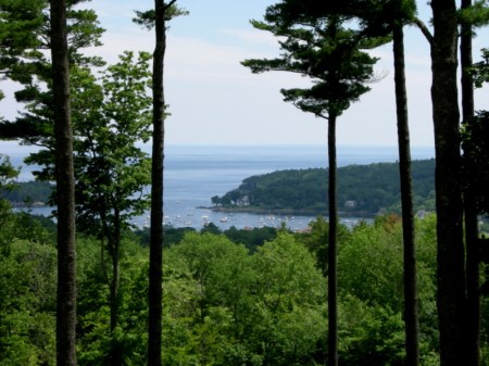 Camden Garden Tour Messler 7-17-2014 2-12-01 PM