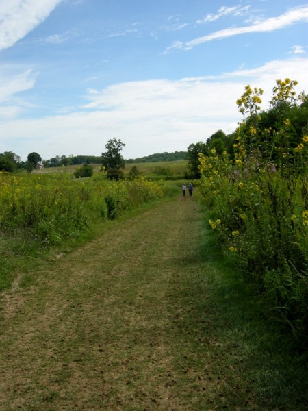Longwood Gardens Meadow 2014 9-3-2014 11-33-26 AM