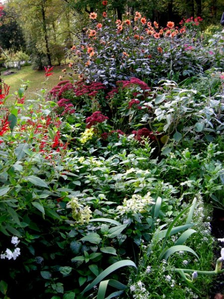 Kring Garden fall 2014 10-5-2014 3-56-32 PM