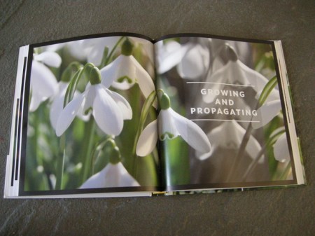 Sladesnowdropbook 1-13-2015 4-13-14 PM