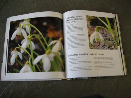 Sladesnowdropbook 1-13-2015 4-13-36 PM