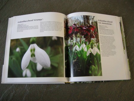 Sladesnowdropbook 1-13-2015 4-13-56 PM