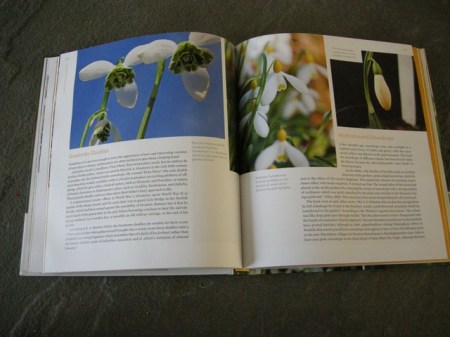 Sladesnowdropbook 1-13-2015 4-14-20 PM