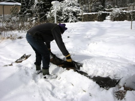 winter at Carolyn's Shade Gardens