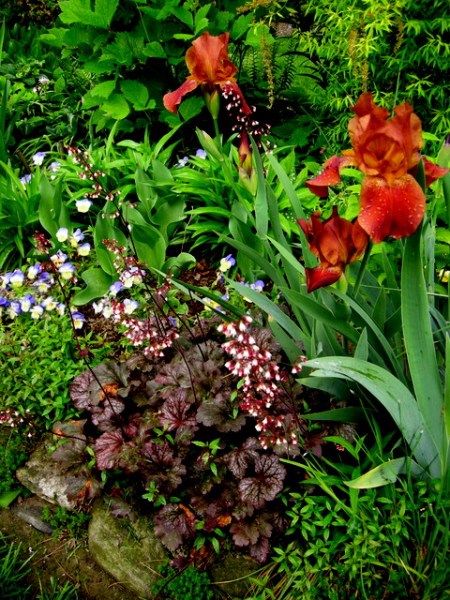 Cresson Garden May 2014 5-22-2014 11-37-59 AM