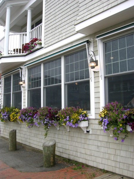window boxes in Camden Maine 7-14-2015 5-47-09 PM