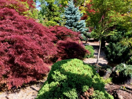 Ambleside Gardens 6-2-2016 10-31-15 AM