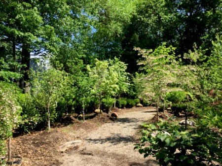 Ambleside Gardens 6-2-2016 10-32-23 AM