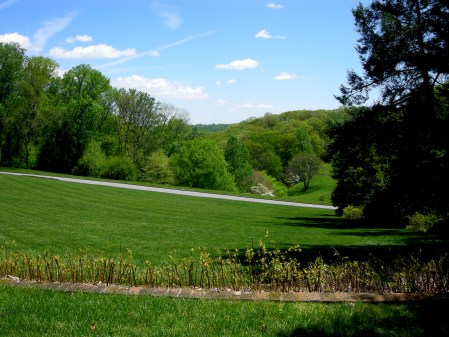 Mt. Cuba formal gardens 5-8-2016 1-22-17 PM