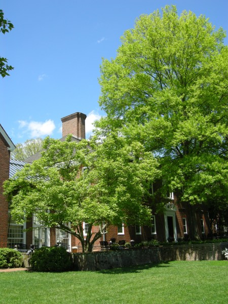 Mt. Cuba formal gardens 5-8-2016 1-23-16 PM