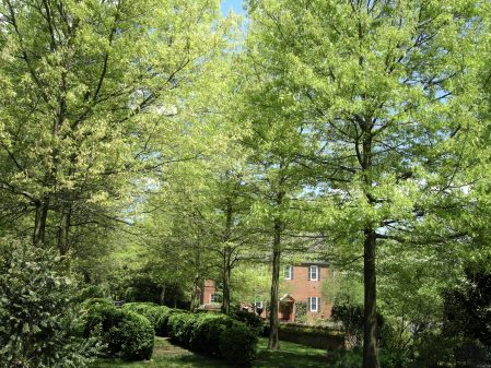 Mt. Cuba formal gardens 5-8-2016 1-31-27 PM