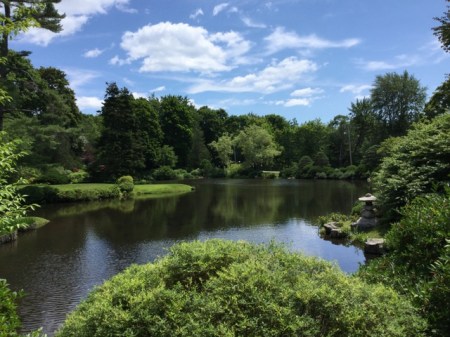 Ascitou Gardens 2016 7-20-2016 1-09-43 PM