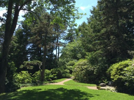 Ascitou Gardens 2016 7-20-2016 1-25-30 PM