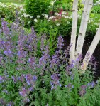 Fort Williams Garden Tour 2017 7-15-2017 9-47-39&nbsp;AM