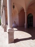 ringling museum & gardens 3-21-2018 1-16-17&nbsp;pm