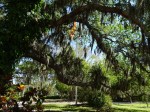 ringling museum & gardens 3-21-2018 2-12-37&nbsp;pm