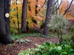 Carolyn’s Shade Gardens Fall&nbsp;2010