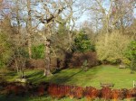 Savill Garden-001